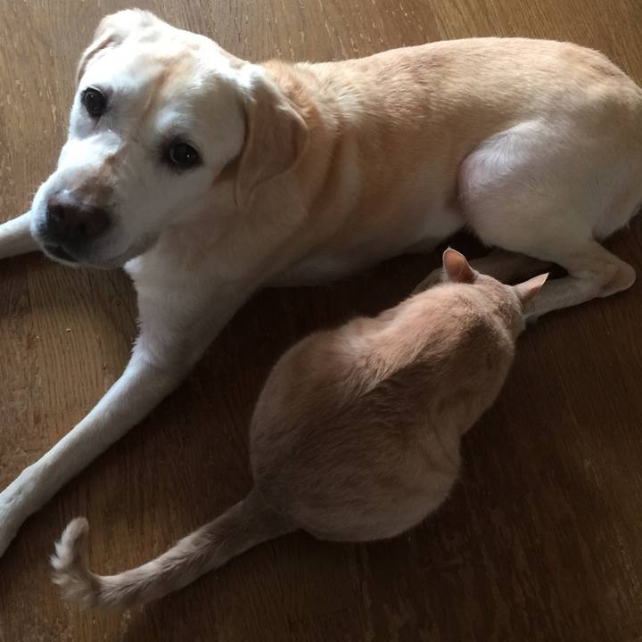 Aeb3723e 3c14 49c6 9e8d 4f8fa576f12b