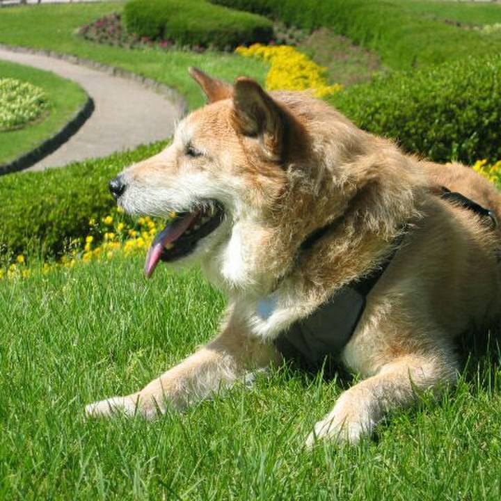 Aeb39638 bce3 4141 aaaa 762ea1199363