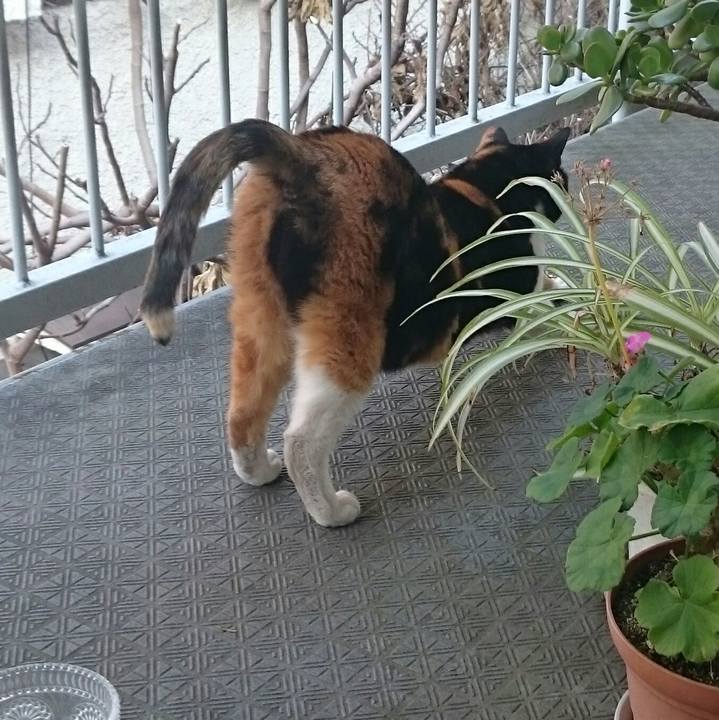 Aeb39eaf b549 4622 9794 3f96549ba182