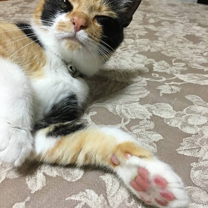 Aeb460bf ac2f 42a6 b064 1eb9d7cc46c3