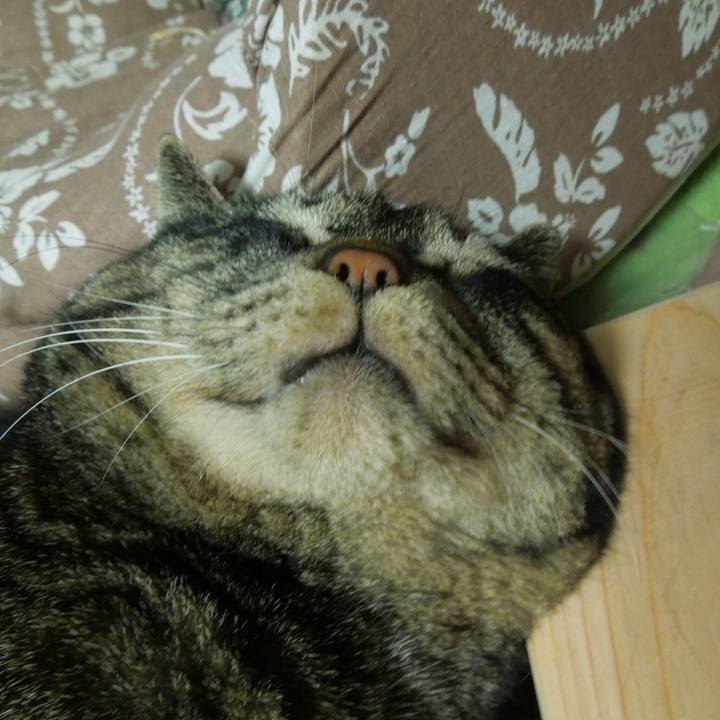 Aeb51403 45b2 4533 96ec cda522085f8b