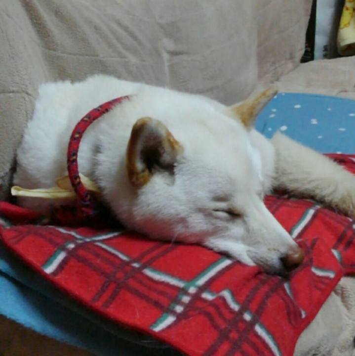 Aeb5261e 4f7c 4a03 98df 456b9b95a118