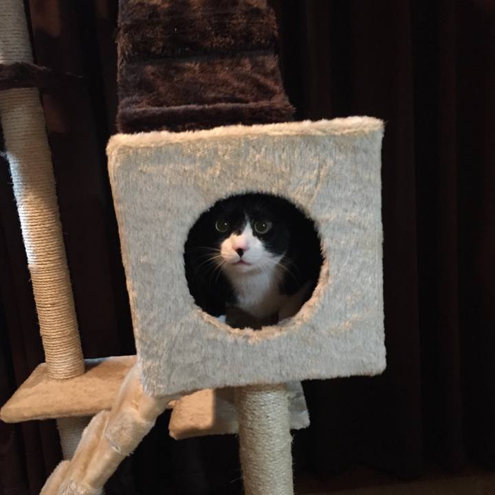 Aeb5725a b353 4d54 a115 4c4519a9ca66