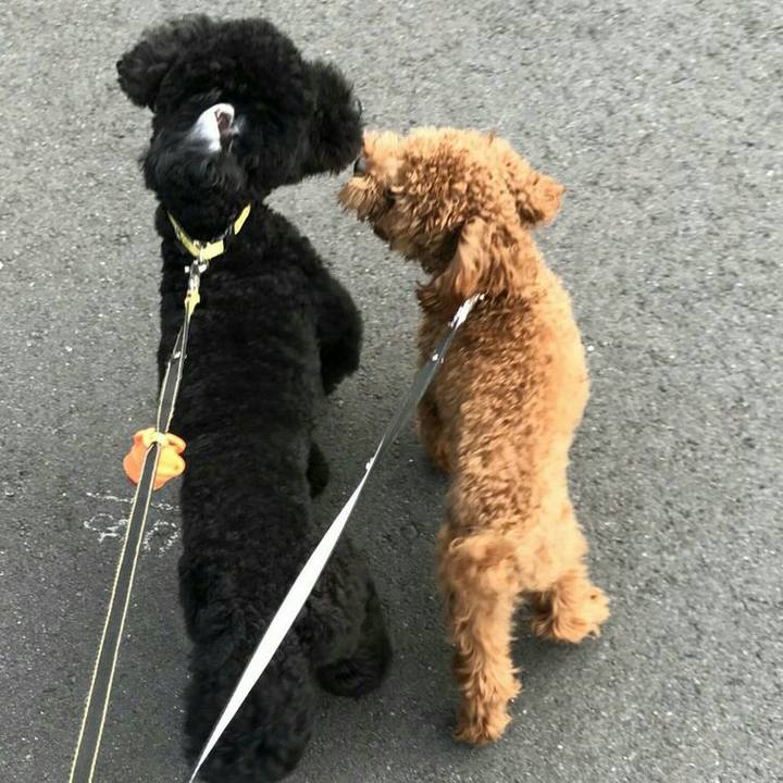 Aeb57e74 a92b 499d b2d4 d0f15455a726