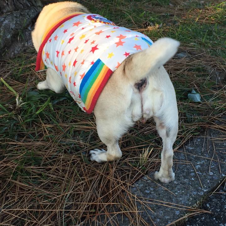 Aeb5b876 b381 4134 99be 607d852bab36