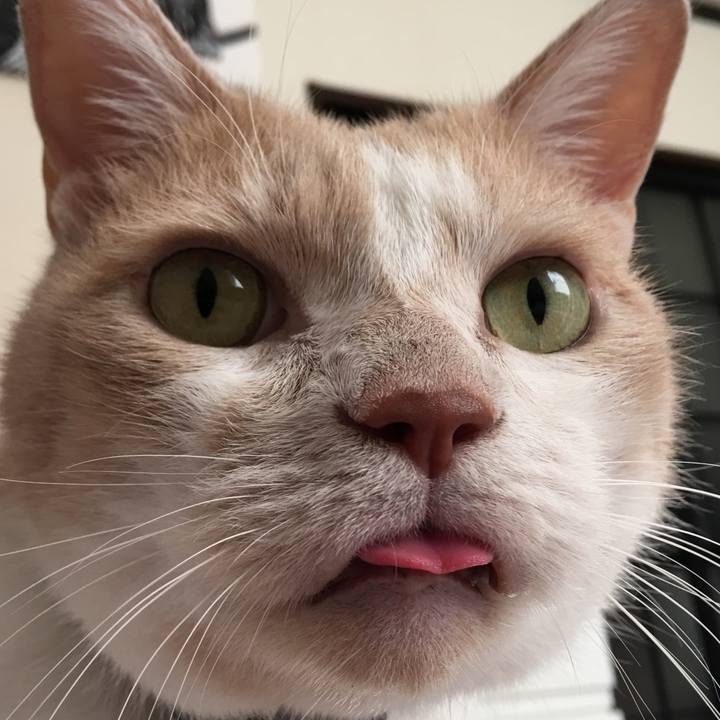 Aeb5b9b7 f58e 46d9 9b06 975561ad1e05