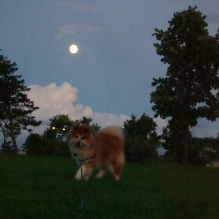 Aeb7237d fa7a 4a70 af19 48b896fa410c