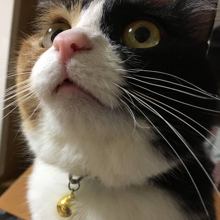 Aeb83988 d87b 4923 9beb 92d864fae19d