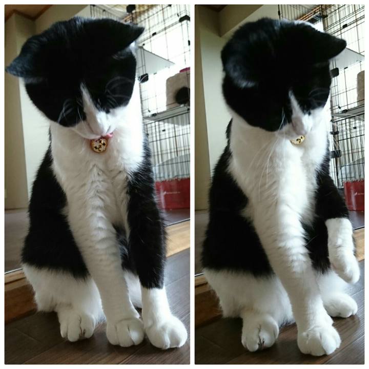 Aeb84c37 6867 4ad3 80ce 78007bbdd0e4