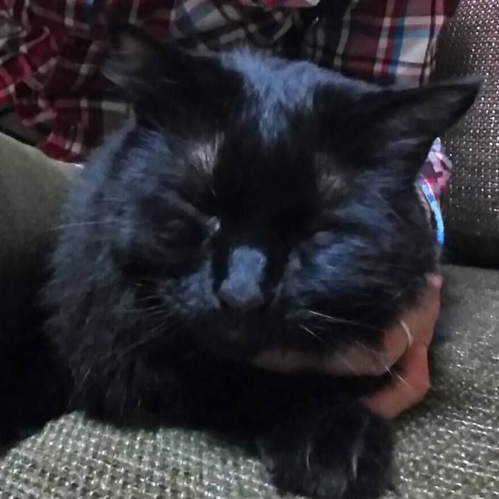 Aeb86937 3b64 4ddc ba9c 05cee2cc3540