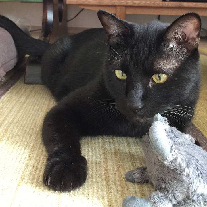 Aeb86b25 3276 4eaf b875 148b855af7f1