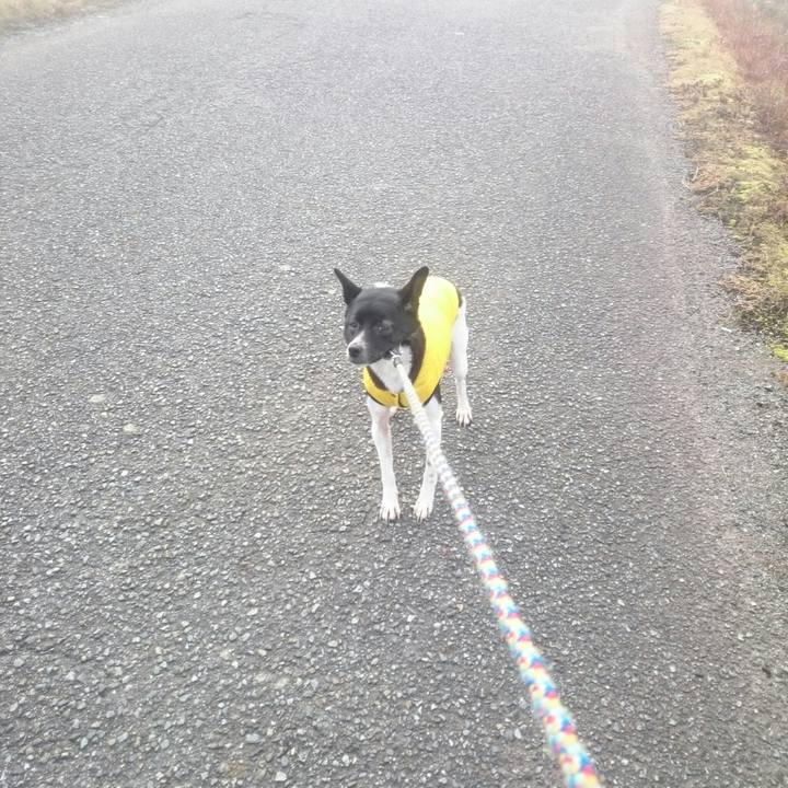 Aeb8960f 6315 4a7e a5f5 1868ca8699f3