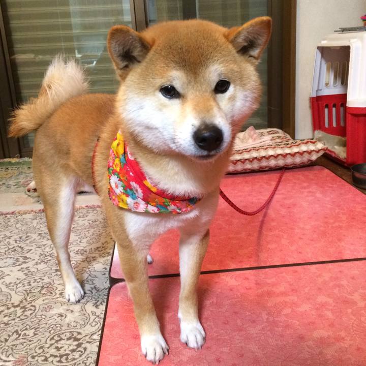 Aeb8ae4c 4fa1 4379 812a 469fc48b9073