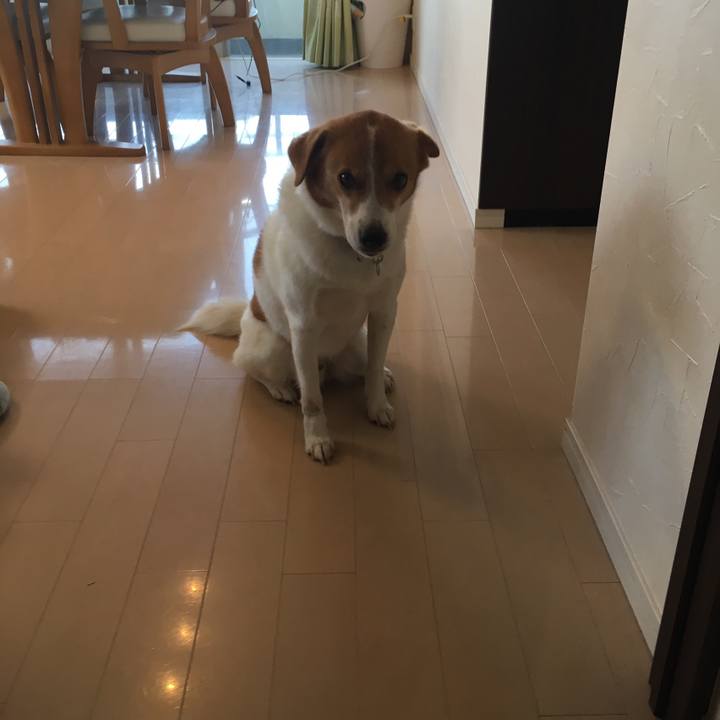 Aeb918b8 a8bc 4b0e b171 5c3232ef90c7