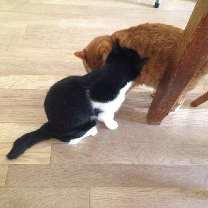 Aeb9d478 f836 40ab 90f0 a46144d6edc8