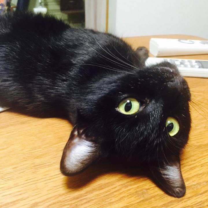 Aeba57c0 3605 4d89 a2bf 9a2ffbbbed68