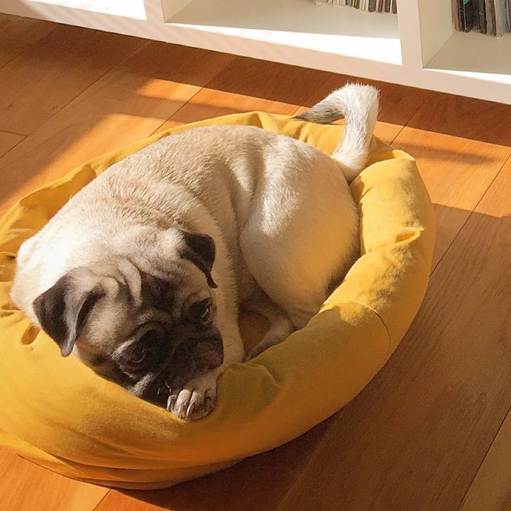 Aebaaf4b 8ac5 4a4c 9ffd 304e4fdb113a