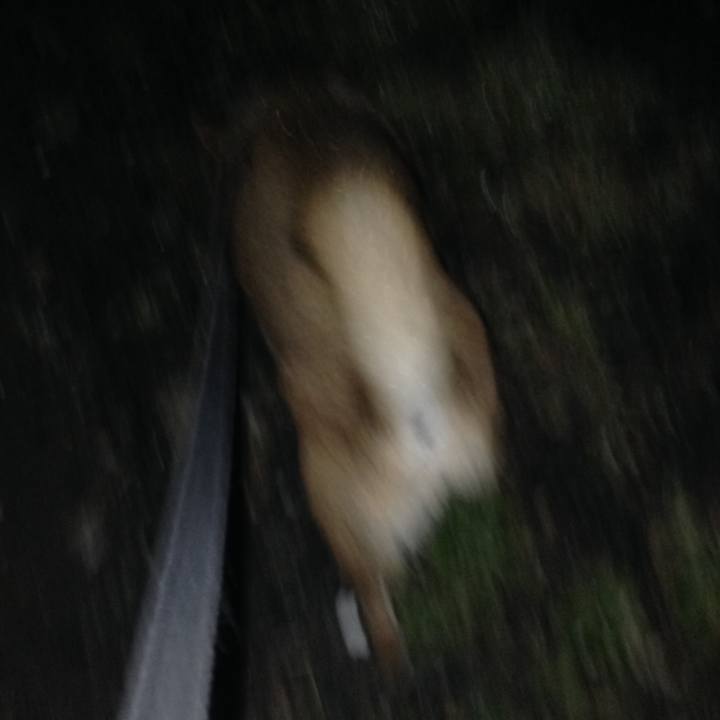 Aebad2e4 9840 4a9b a60f f826e9fc257b