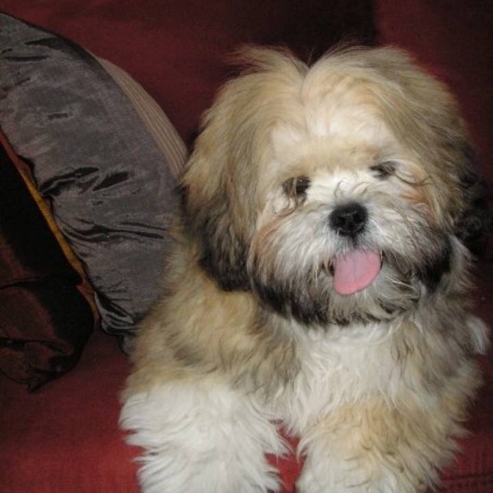 Aebcd87e c3a0 41ab ae94 c7168fbc9fcf