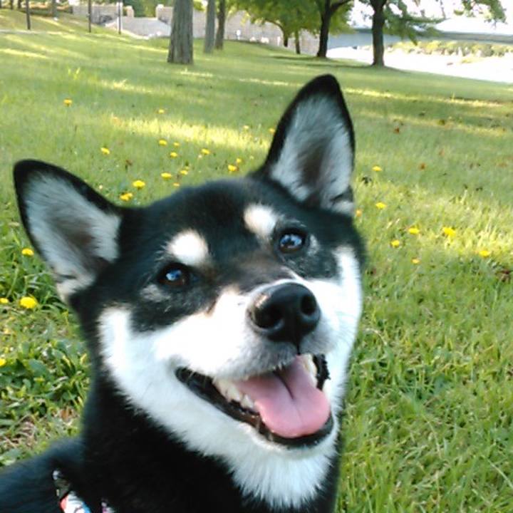 Aebd6971 4394 497a 9ea0 d8939b928ac6