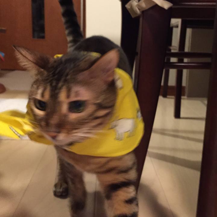 Aebdfb2f ddda 4d1c 97f6 88376f27da87