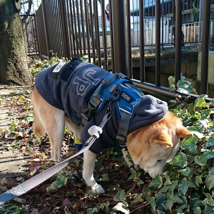 Aebdffca 67fd 41c3 82f4 8caa886cf438