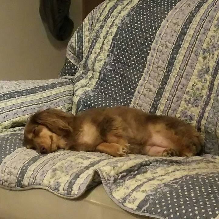 Aebe8f12 cfb4 4142 8cab 782547f52130