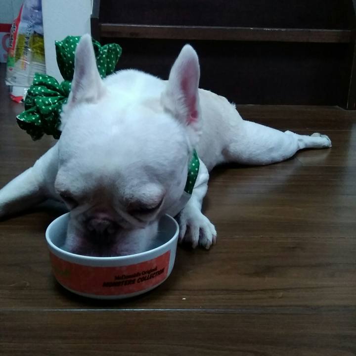 Aebed429 7a3b 4752 b0bd da82364eca27