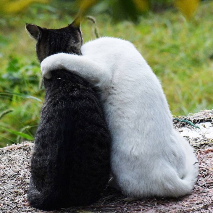 Aebeef0e 5a59 4fd2 8d40 e8b9eb0cadd6