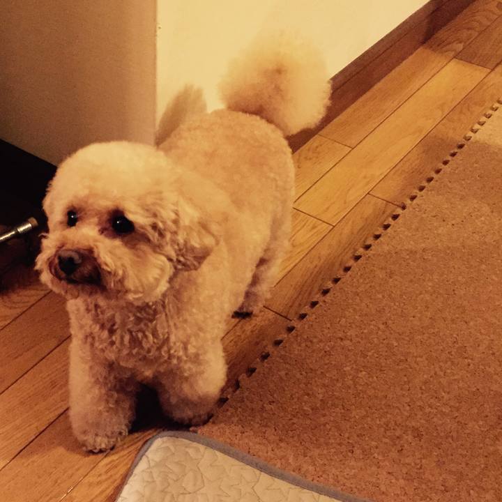 Aebf683e b46b 4323 917f 93b8ea00bddd