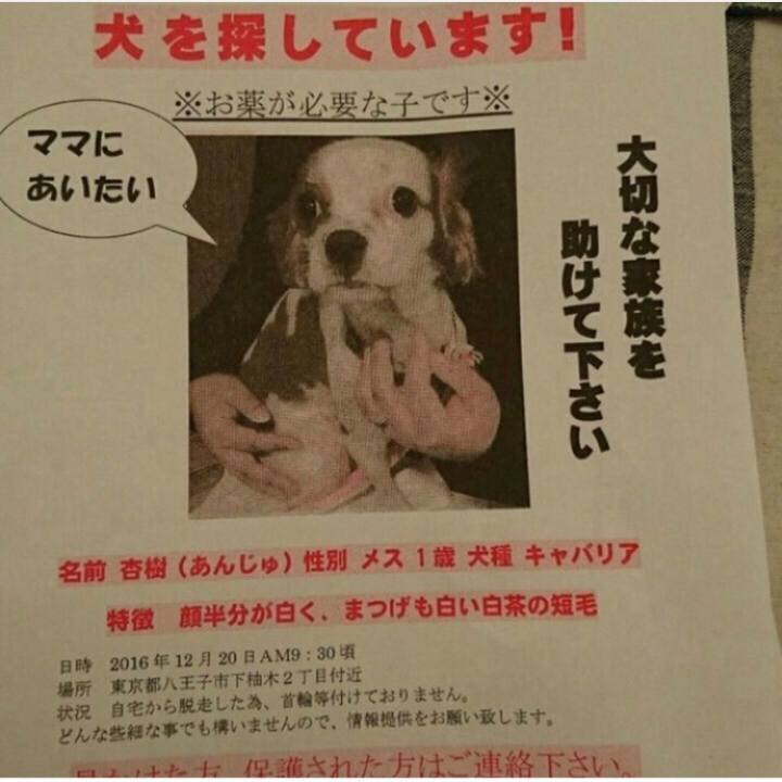 Aebfb472 15f3 4213 8df2 bc9b86367d97