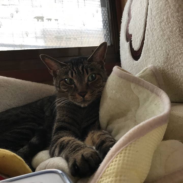 Aebfe289 899f 4dfb afd1 61fab7266b2a