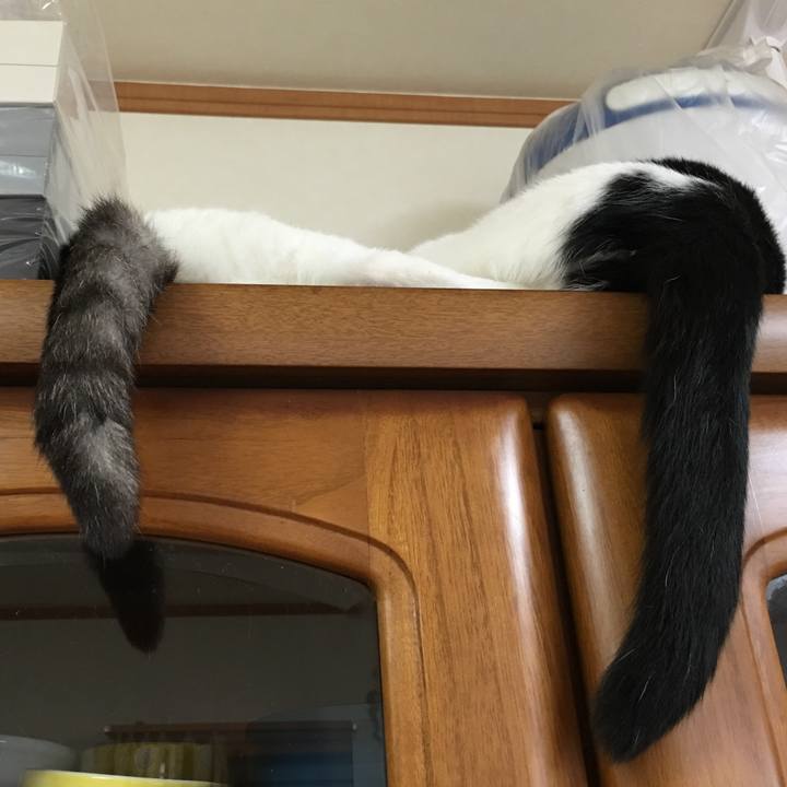 Aec050dc 9e92 4b3c 96f3 e2dfafc8b653