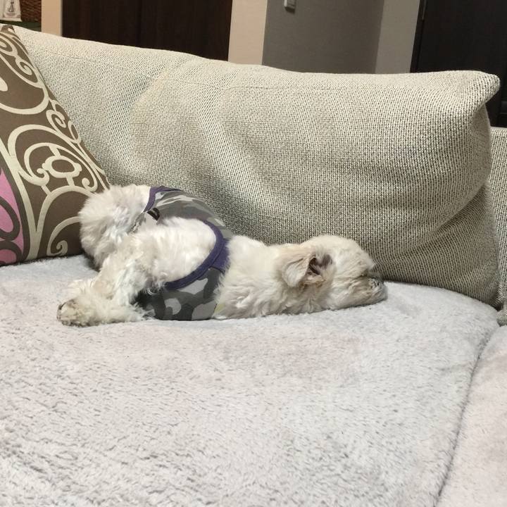 Aec05daa 8023 448d b1d7 907f542af864