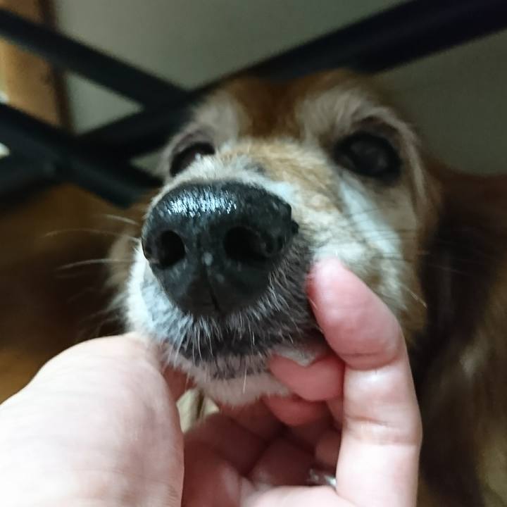 Aec0dd65 3205 4546 9663 d6c111bfde75