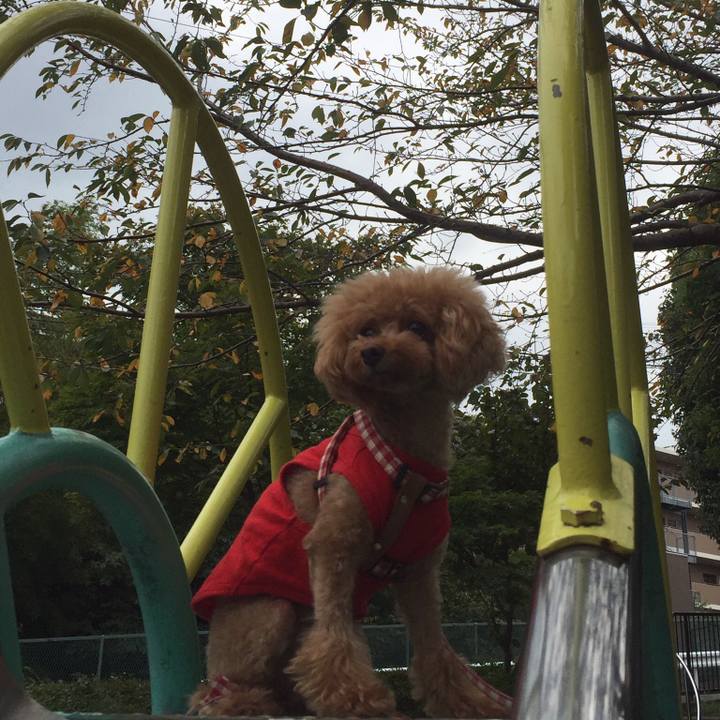 Aec1727d f1e7 42df a0ef a7acd6eb0f9a