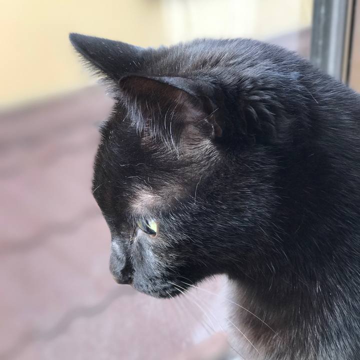 Aec18d14 fd78 4a5c 9a77 84b20af3c74c