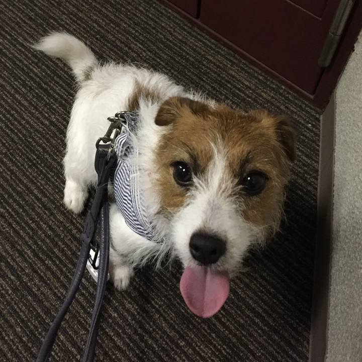 Aec1ec78 09b9 454f 990e 3f607d8aa254