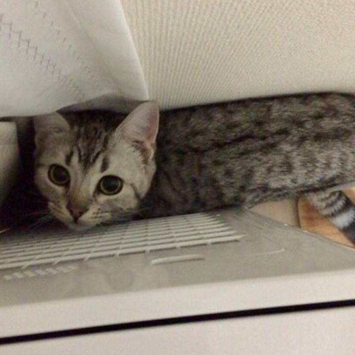 Aec22a10 0ec9 4efa 9ab9 4eec48064741