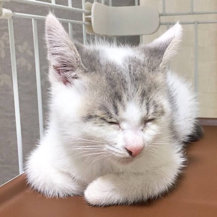 Aec23c0e 0692 4175 9686 a4df4fb99f3a