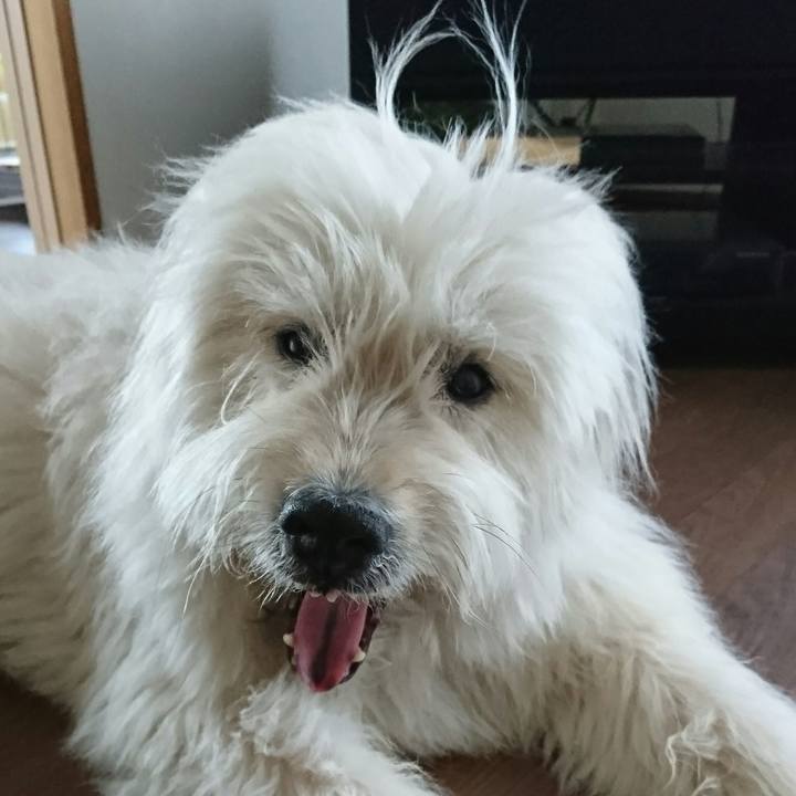 Aec25457 e1e5 4229 a8f2 4b2de8423ac4