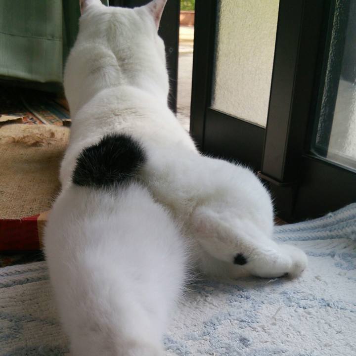 Aec27861 f1af 44b5 bfe5 7ad23b4a5a99