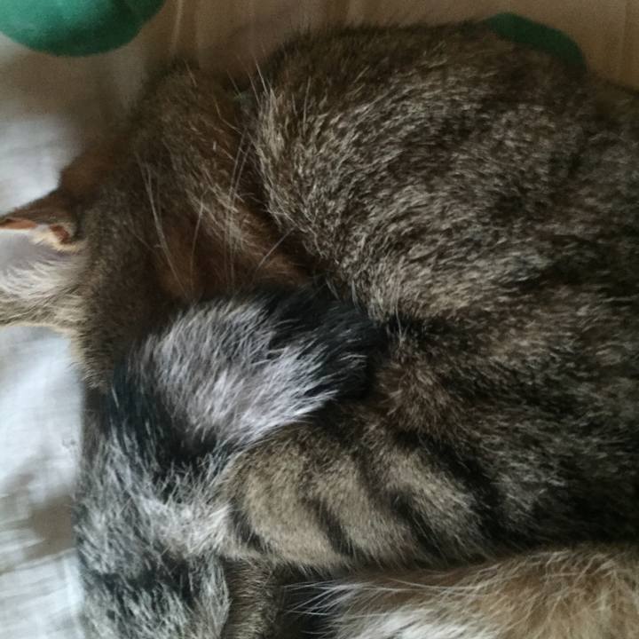 Aec2cbe2 b56a 4577 aa14 eb4ecb6ec9d9