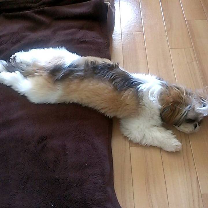 Aec3537e 49d2 4449 958a d30bf4482635