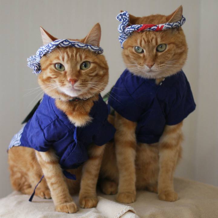 Aec39108 dc94 4ae3 b33c d4ace903e49d