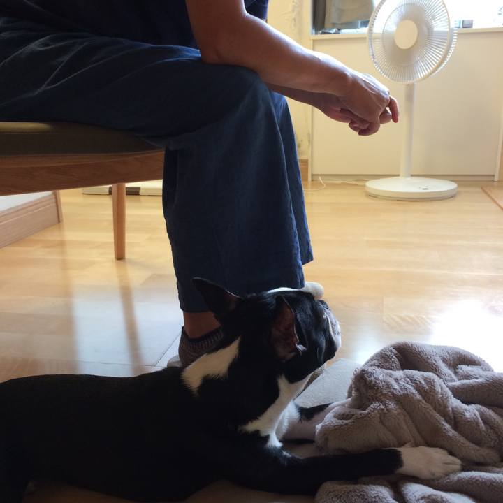 Aec3a50a a01c 4fb0 a143 ab371c3bc966