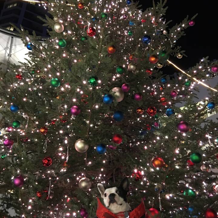 Aec3b282 f790 479e b17a 7731a5986d62