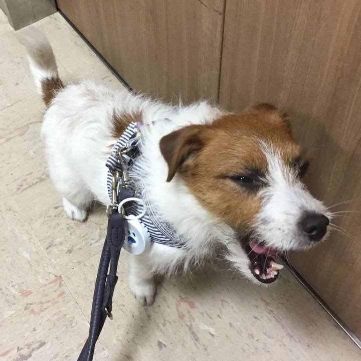 Aec42072 1c01 4f07 a84c d00d9dac8d85