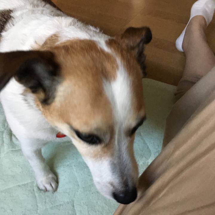 Aec422f6 6bf2 490d a60f 730f37a2a2bc