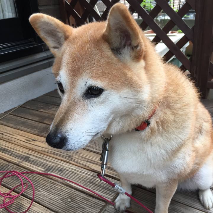 Aec4633a 578d 469b aa5b 4ad3d2f9ba3d